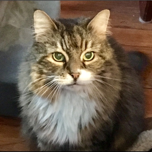 Meet your Posher, Janet - Picture 10 of 14